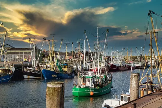Fischkutter Hafen Büsum