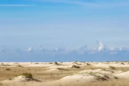 Sanddünen auf Amrum